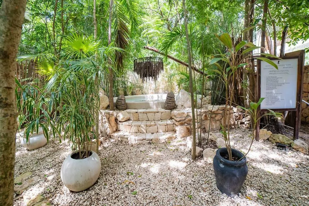 Exclusive Ph Art House Free Access 2 The Beach Tulum 0*,
