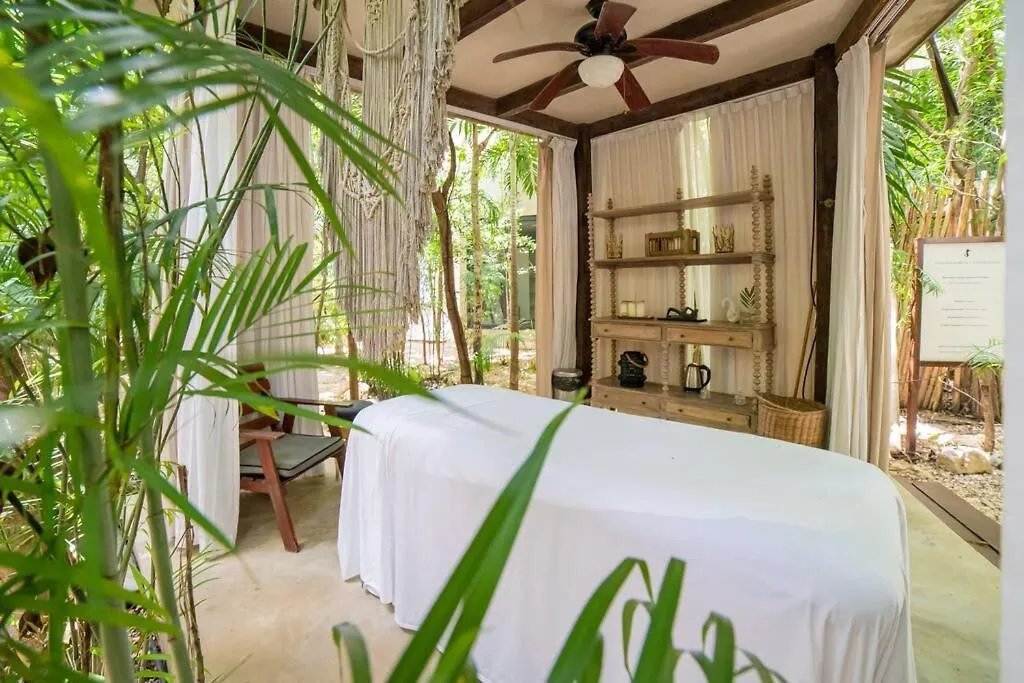 Exclusive Ph Art House Free Access 2 The Beach Tulum 0*,  Mexico