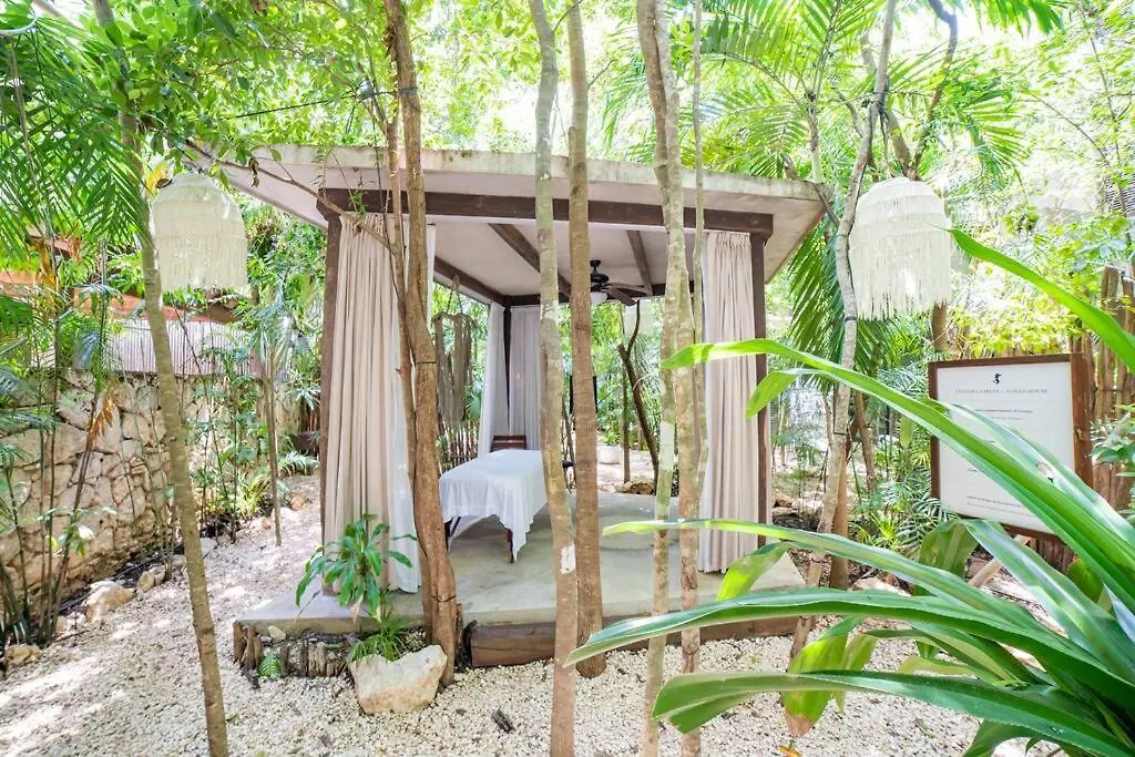 Exclusive Ph Art House Free Access 2 The Beach Tulum 0*,